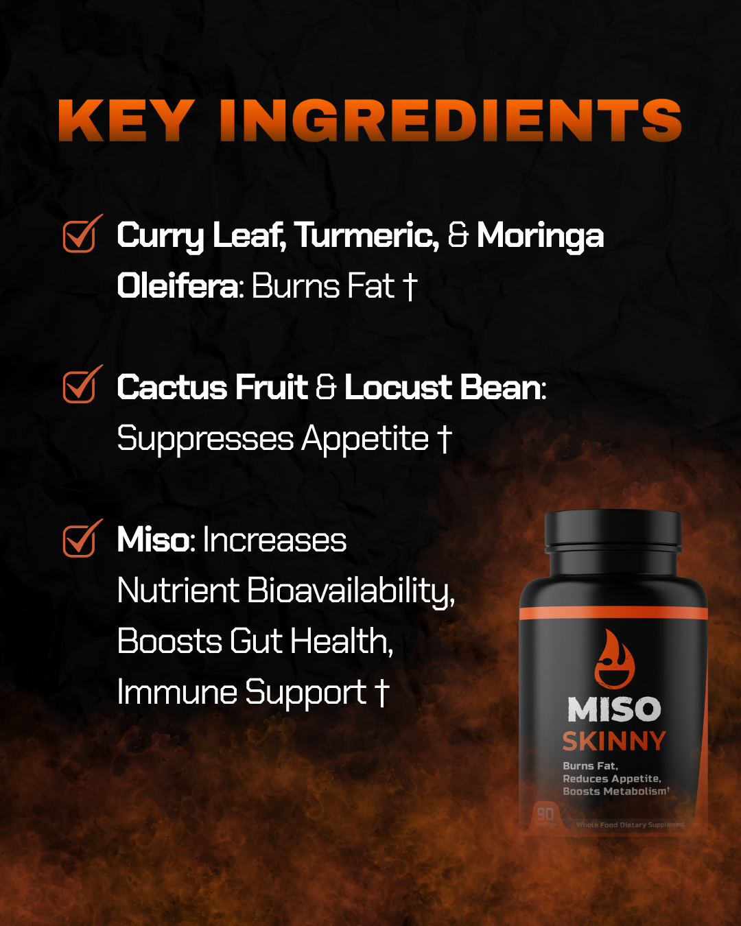 MISO HEALTHY BUNDLE