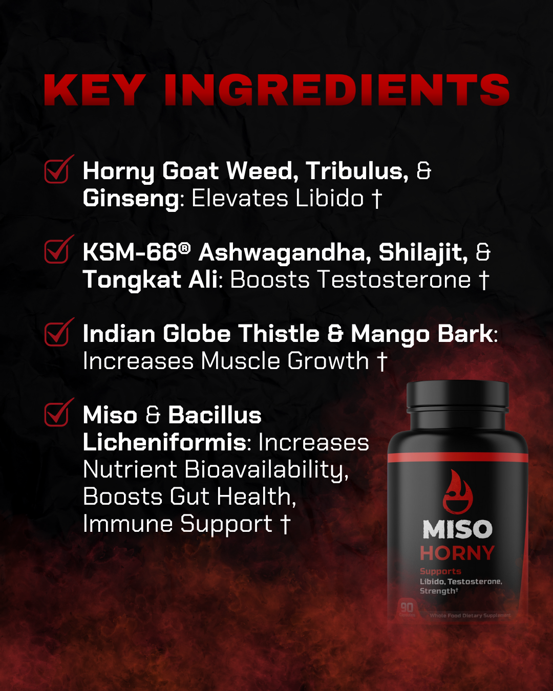 MISO HEALTHY BUNDLE
