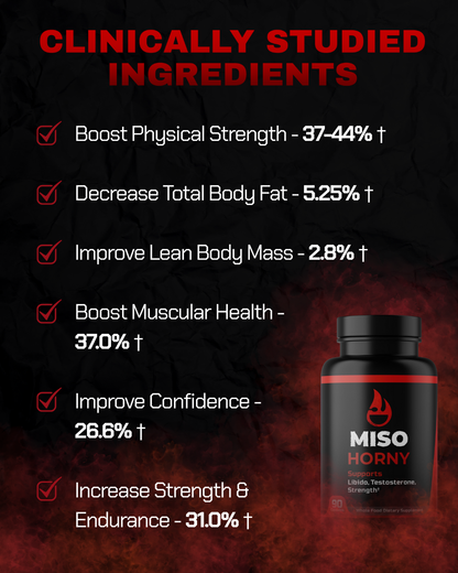 MISO HORNY